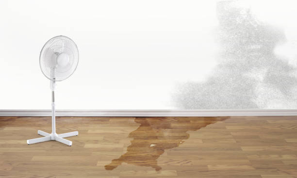Best Professional water damage repair  in Church Hill, PA