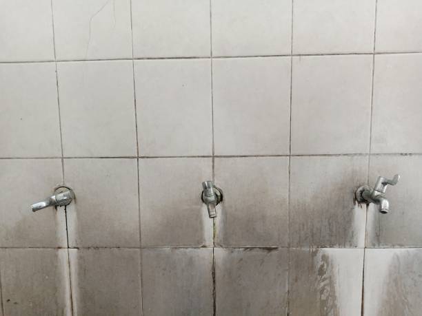 Carpet water damage restoration in Church Hill, PA